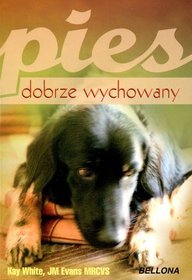 Pies dobrze wychowany