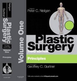 Plastic Surgery: Principles volume 1