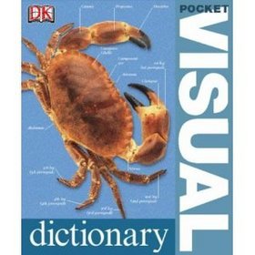 Pocket Visual Dictionary