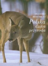 Polska dzika przyroda