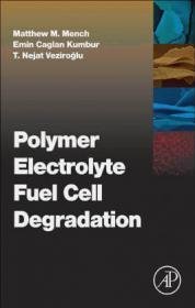 Polymer Electrolyte Fuel Cell Degradation