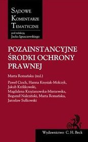 Pozainstancyjne środki ochrony prawnej