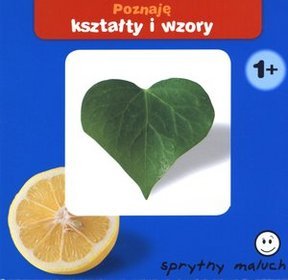 Poznaje kształty i wzory