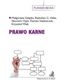 Prawo karne