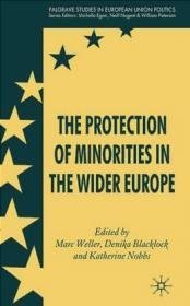 Protection of Minorities in the Wider Europe