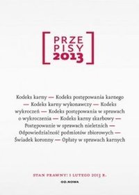 Przepisy 2013 prawo karne