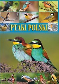 Ptaki Polski