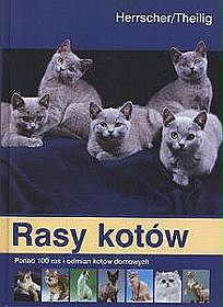 Rasy kotów