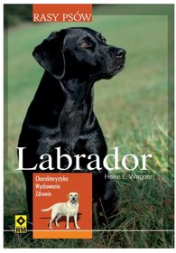 Rasy psów. Labrador
