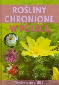 Rośliny chronione w Polsce