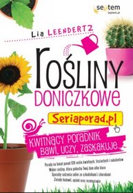 Rośliny doniczkowe. Seriaporad.pl