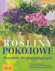 Rośliny pokojowe