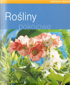 Rośliny pokojowe
