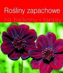 Rośliny zapachowe na balkony i tarasy