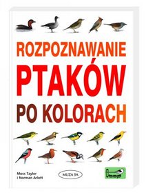 Rozpoznawanie ptaków po kolorach