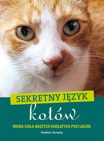 Sekretny język kotów