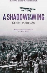 Shadow on the Wing