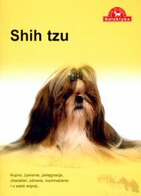 Shih tzu