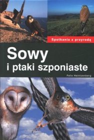 Sowy i ptaki szponiaste