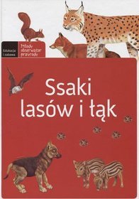Ssaki lasów i łąk