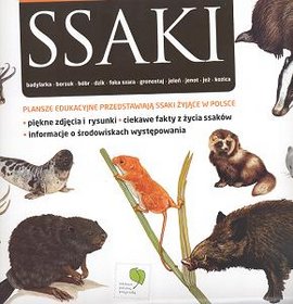 Ssaki Plansze edukacyjne