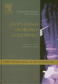 Stopa i staw skokowo-goleniowy