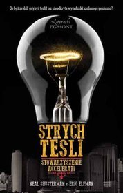 Strych Tesli