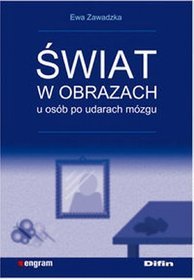 Świat w obrazach u osób po udarach mózgu