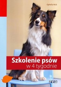 Szkolenie psa w cztery tygodnie