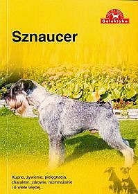 Sznaucer