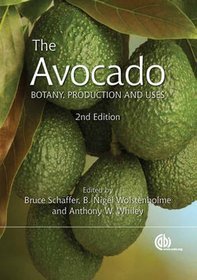 The Avacado