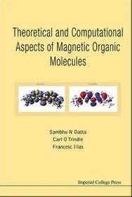 Theoretical and Computational Aspects of Magnetic Organic Molecules