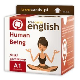 FISZKI Treecards Human Being A1 Vocabulary