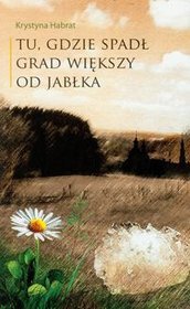 Tu, gdzie spadł grad większy od jabłka