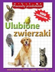 Ulubione zwierzaki