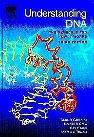 Understanding DNA