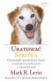 Uratować Sprite'a