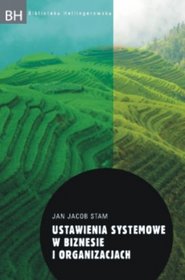 Ustawienia systemowe w biznesie i organizacjach