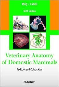 Veterinary Anatomy of Domestic Mammals