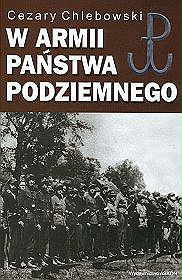 W armii Państwa Podziemnego (okładka brązowa)