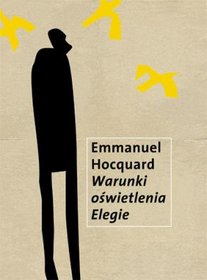 Warunki oświetlenia. Elegie