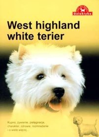 West Highland White Terier