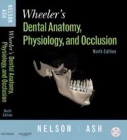 Wheeler's Dental Anatomy Physiology and Occlusion 9e