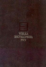 Wielka encyklopedia PWN Tom 14