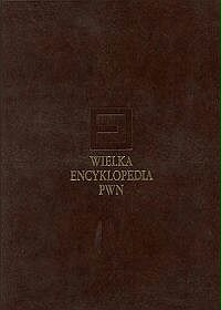 Wielka encyklopedia PWN Tom 3