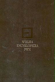 Wielka encyklopedia PWN Tom 5