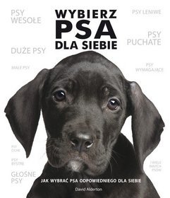 Wybierz psa dla siebie