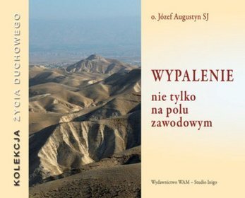 Wypalenie nie tylko na polu zawodowym - książka audio na 4 CD w etui