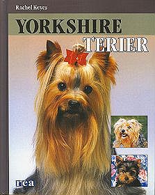 Yorkshire Terier