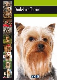 Yorkshire terrier - poradnik hodowcy